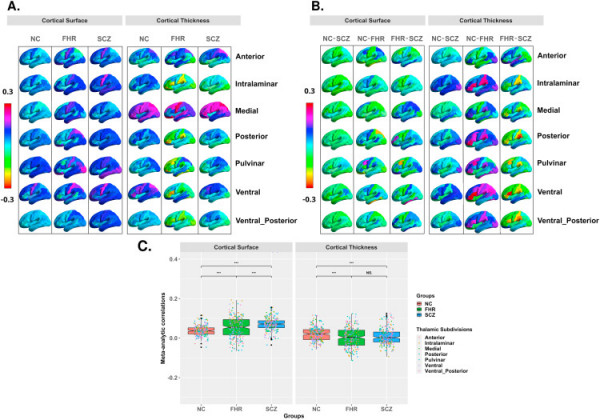 Thalamo-cortical structural co-variation networks are related to familial risk for schizophrenia in the context of lower nuclei volume estimates in patients: an ENIGMA study
