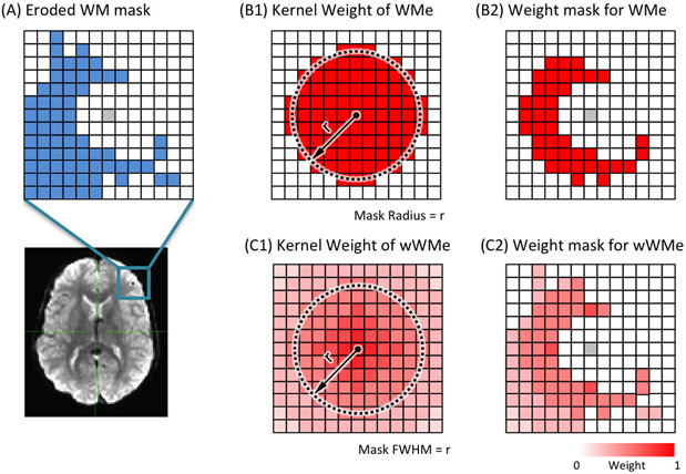 Neuroimaging Methods